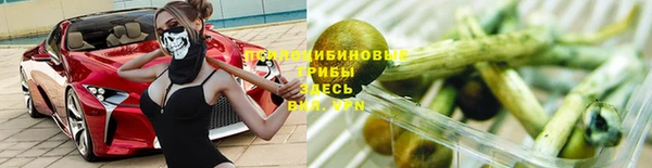 гашишное масло Гусев