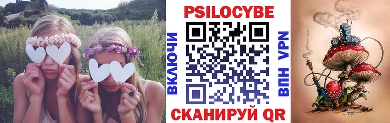 Галлюциногенные грибы GOLDEN TEACHER  Купить закладки  Железноводск 