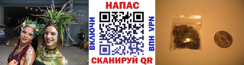 Купить где  Железноводск  Каннабис планчик 